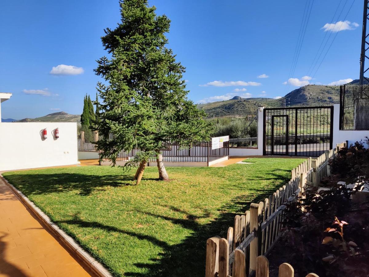 Apartamento Rural Villa Aurora Luque Eksteriør billede